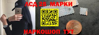 гашик Камышлов