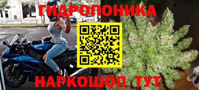 гашик Камышлов