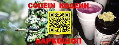 гашик Камышлов