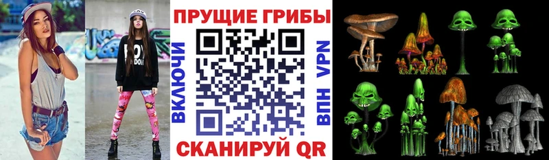 Псилоцибиновые грибы мухоморы  Отрадное 